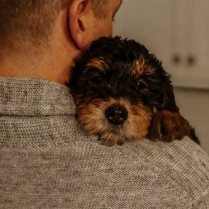 Meet your Posher, Jack